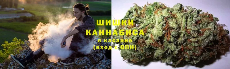 Шишки марихуана THC 21%  Лесосибирск 